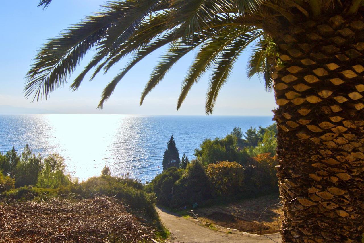 Seaside Secluded Apartments Cove Tvrdni Dolac, Hvar - 4008 Gdinj Eksteriør billede